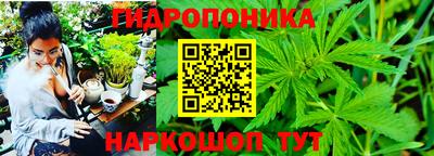 синтетический гашиш Будённовск