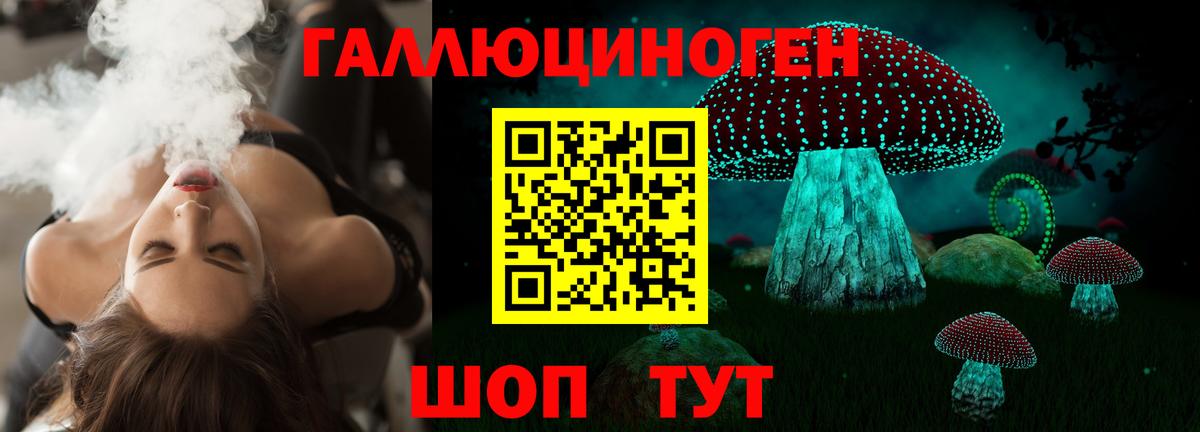 Новокуйбышевск  Галлюциногенные грибы Cubensis  Вход с VPN  Галлюциногенные грибы мицелий 
